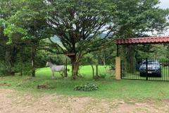 bajolapaz006