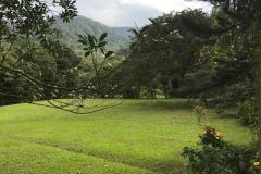bajolapaz008
