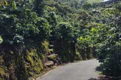 IMG-20230818-WA0023