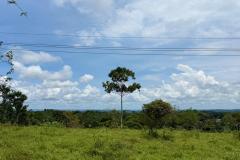 WhatsApp-Image-2025-12-17-at-8.05.20-PM