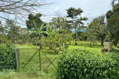 WhatsApp-Image-2025-12-17-at-8.05.23-PM