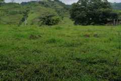 finca-atenas003
