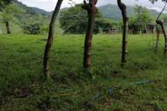 finca-atenas004