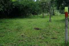 finca-atenas005