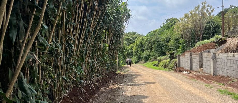 A la venta terreno en Piedades Norte 20,000 m2