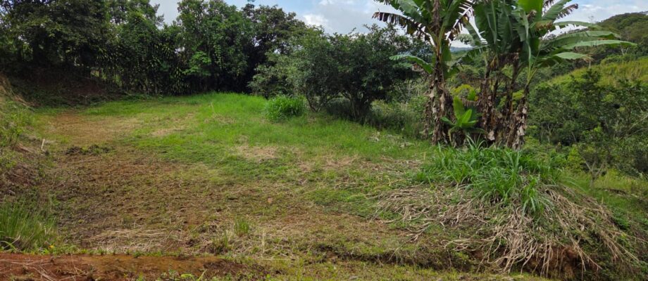 Oportunidad ,lote en San Isidro de San Ramón